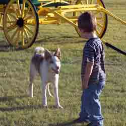 Farming Long