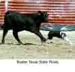 Trials Winner