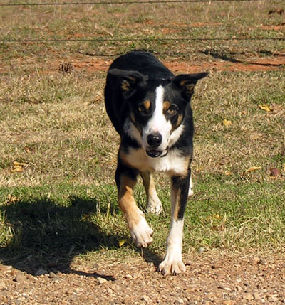 Mac Nov 08