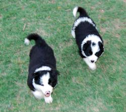 Male and Female