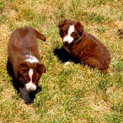 Male and Female