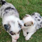 Sharing secrets
