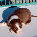 Male 3